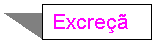 Text Box: Excre��o: